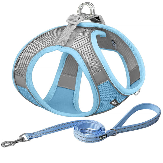 Step in Dog Harness and Leash Set - Dog Vest Harness with Super Breathable Mesh, Reflective No Pull Pet Harness for Outdoor Walking, Training for Small Dogs, Cats Blue S
