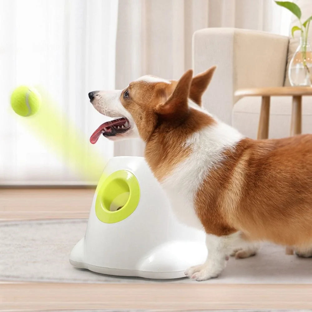 Automatic Mini Interactive with 3 Balls Transmitter Ball Throw Device Throwing Machine Tennis Launcher Ball Throwing Machine Pet Dog Toys US PLUG
