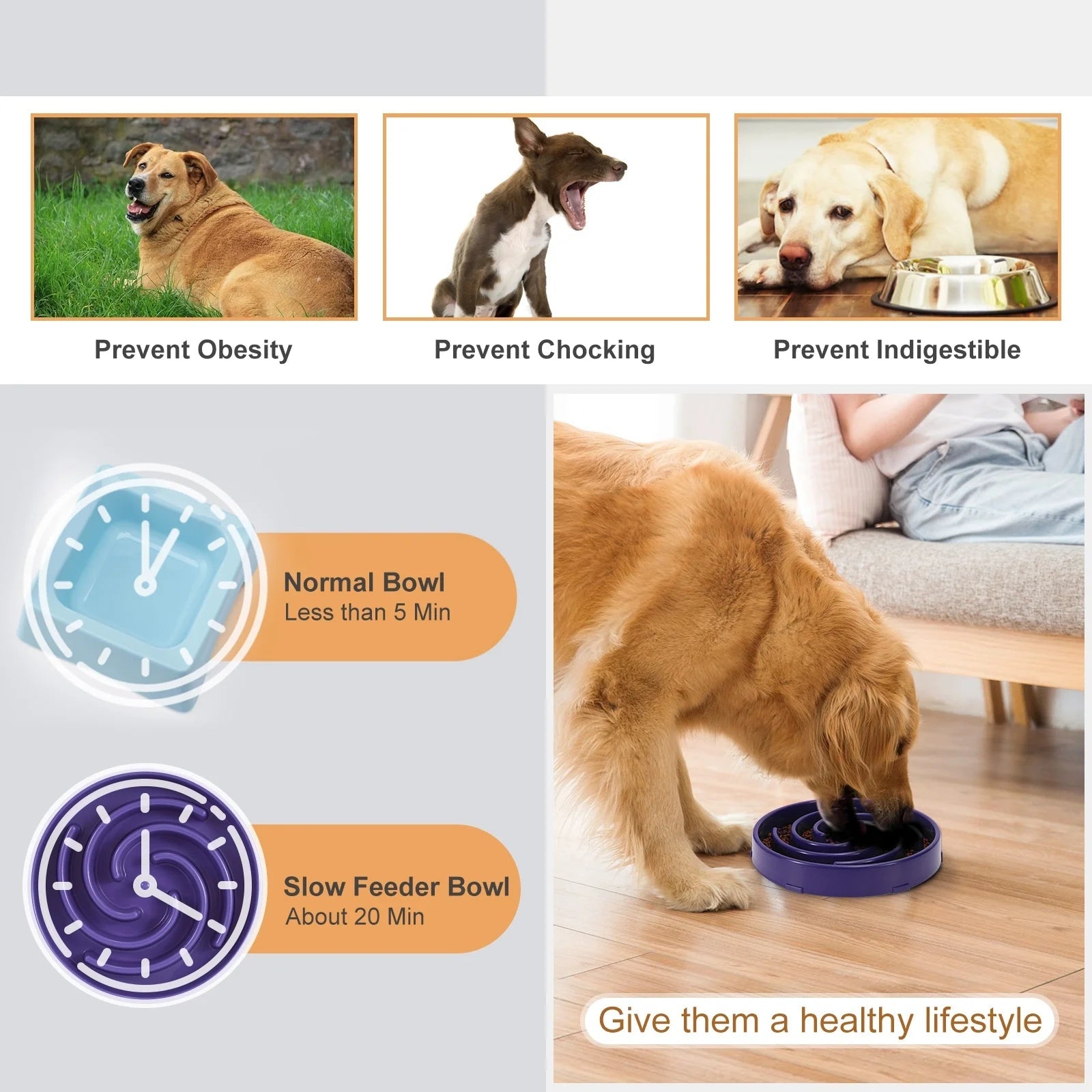 Slow Feeder Dog Bowl, Pet Food Feeding Bowl, Preventing Choking Bloat Dogs Bowl for Small Medium Large Dogs