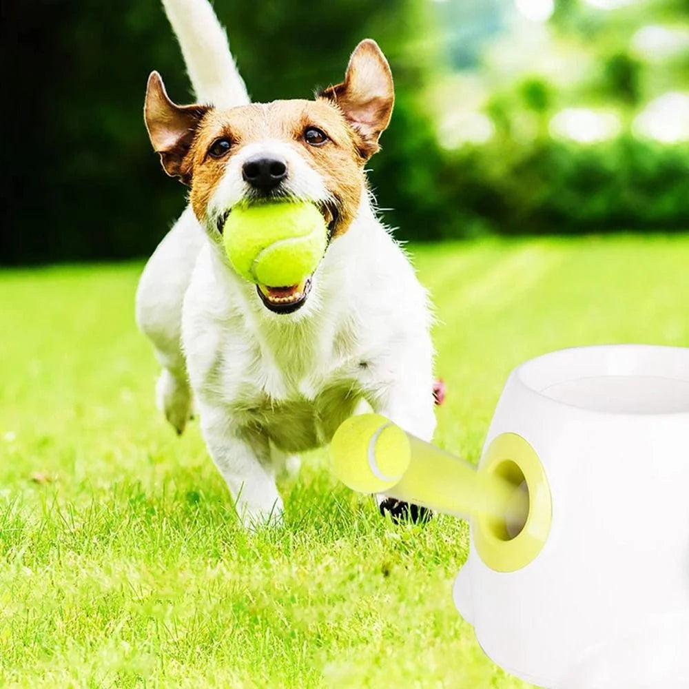 Automatic Mini Interactive with 3 Balls Transmitter Ball Throw Device Throwing Machine Tennis Launcher Ball Throwing Machine Pet Dog Toys US PLUG