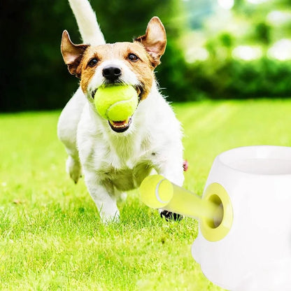 Automatic Mini Interactive with 3 Balls Transmitter Ball Throw Device Throwing Machine Tennis Launcher Ball Throwing Machine Pet Dog Toys US PLUG